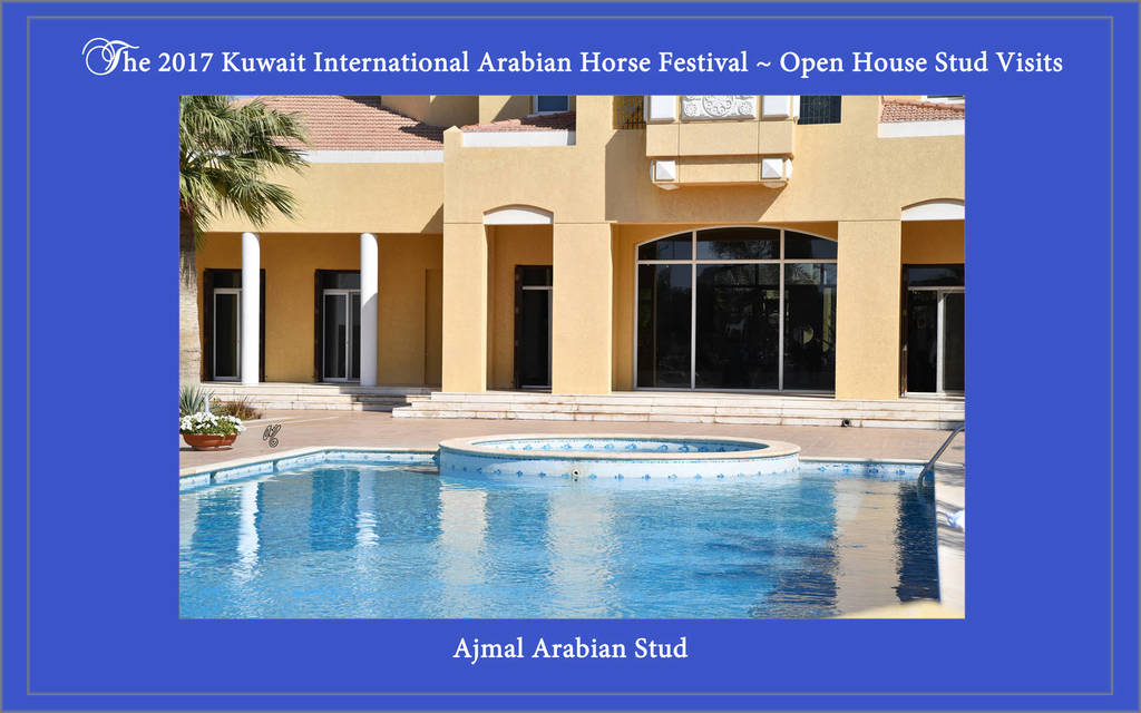 Lisa Abraham: 2017 Kuwait International Arabian Horse Festival~All Nations Cup Straight Egyptians 