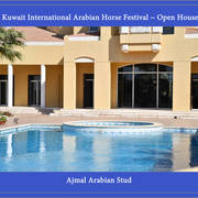 Lisa Abraham: 2017 Kuwait International Arabian Horse Festival~All Nations Cup Straight Egyptians 