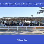 Lisa Abraham: 2017 Kuwait International Arabian Horse Festival~All Nations Cup Straight Egyptians 