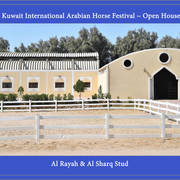Lisa Abraham: 2017 Kuwait International Arabian Horse Festival~All Nations Cup Straight Egyptians 