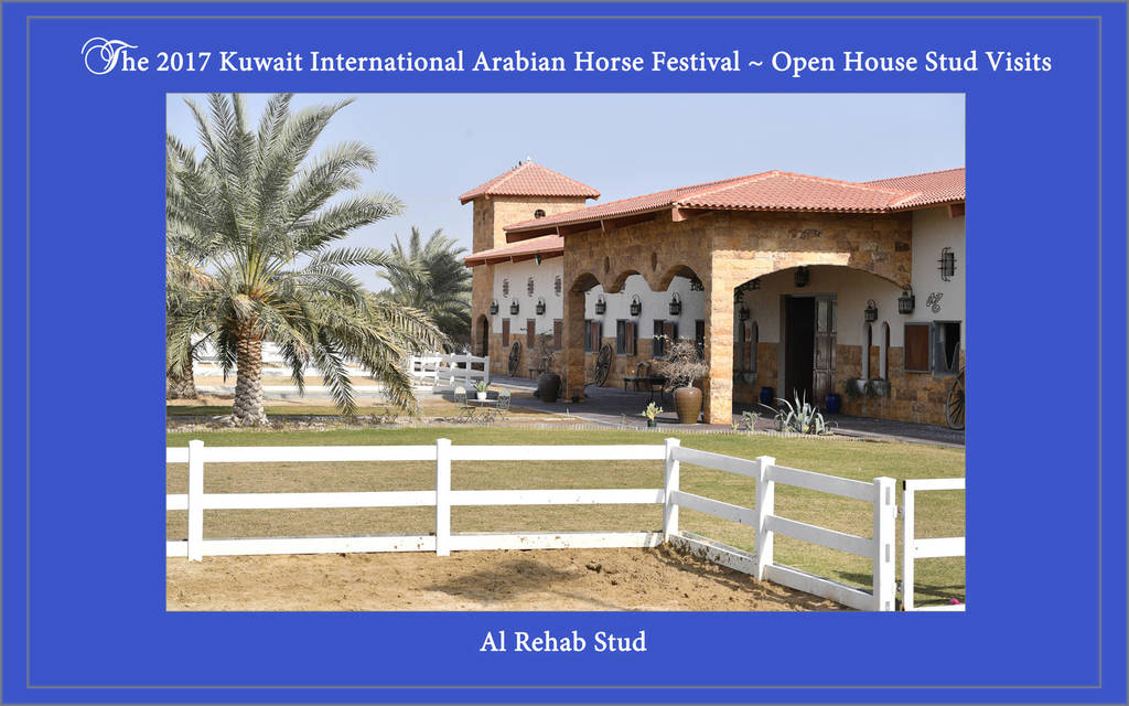 Lisa Abraham: 2017 Kuwait International Arabian Horse Festival~All Nations Cup Straight Egyptians 
