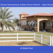 Lisa Abraham: 2017 Kuwait International Arabian Horse Festival~All Nations Cup Straight Egyptians 