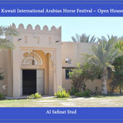 Lisa Abraham: 2017 Kuwait International Arabian Horse Festival~All Nations Cup Straight Egyptians 