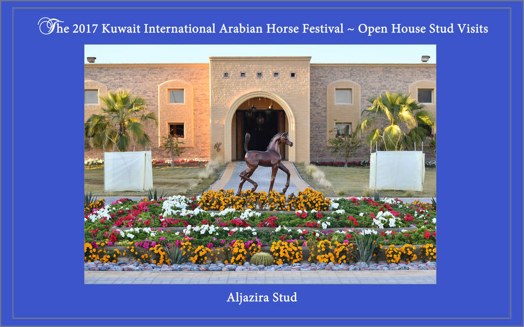 Lisa Abraham: 2017 Kuwait International Arabian Horse Festival~All Nations Cup Straight Egyptians 