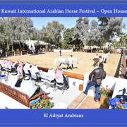 Lisa Abraham: 2017 Kuwait International Arabian Horse Festival~All Nations Cup Straight Egyptians 
