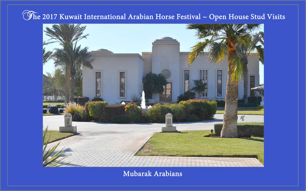 Lisa Abraham: 2017 Kuwait International Arabian Horse Festival~All Nations Cup Straight Egyptians 