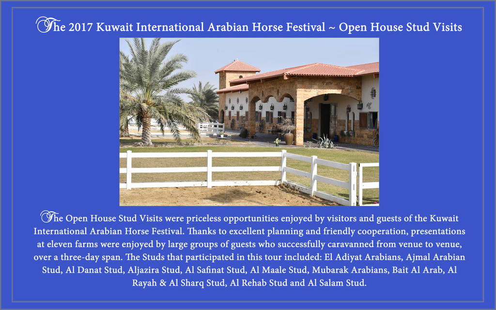 Lisa Abraham: 2017 Kuwait International Arabian Horse Festival~All Nations Cup Straight Egyptians 