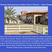 Lisa Abraham: 2017 Kuwait International Arabian Horse Festival~All Nations Cup Straight Egyptians 
