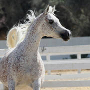 photo by Joanna Jonientz