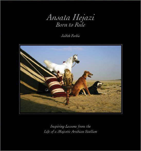 2017 Kuwait International Arabian Horse Festival: All Nations Cup Straight Egyptians