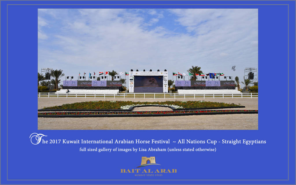 Lisa Abraham: 2017 Kuwait International Arabian Horse Festival~All Nations Cup Straight Egyptians 