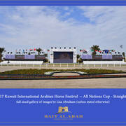 Lisa Abraham: 2017 Kuwait International Arabian Horse Festival~All Nations Cup Straight Egyptians 
