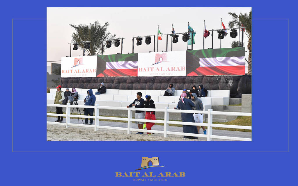2017 Kuwait International Arabian Horse Festival: All Nations Cup Straight Egyptians