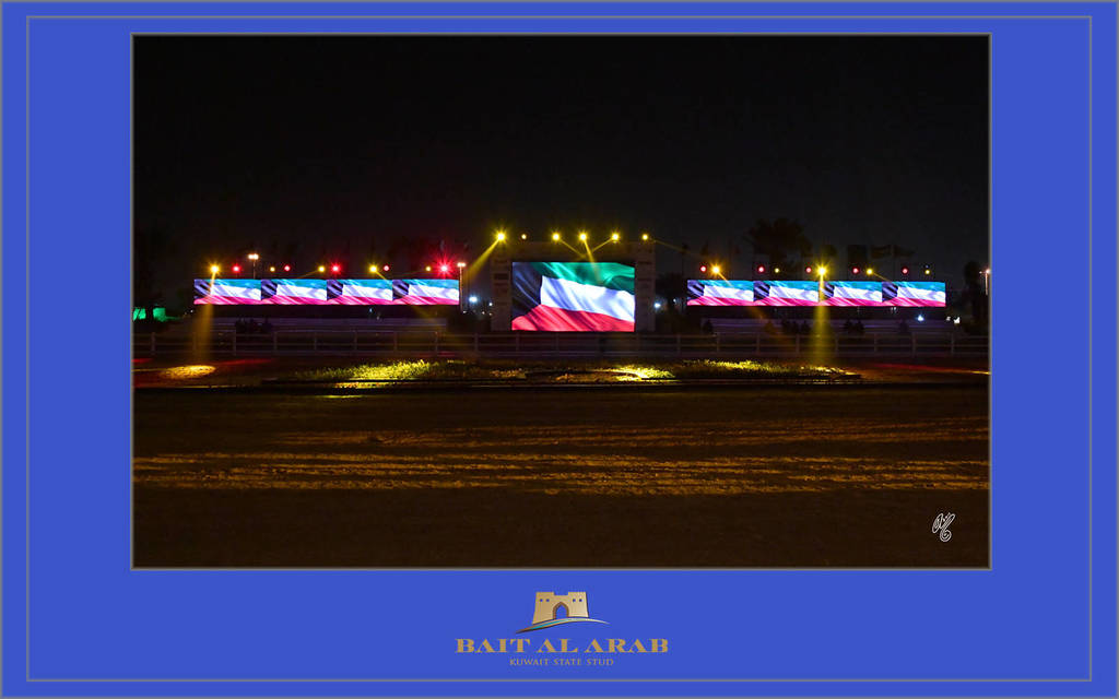 Lisa Abraham: 2017 Kuwait International Arabian Horse Festival~All Nations Cup Straight Egyptians 