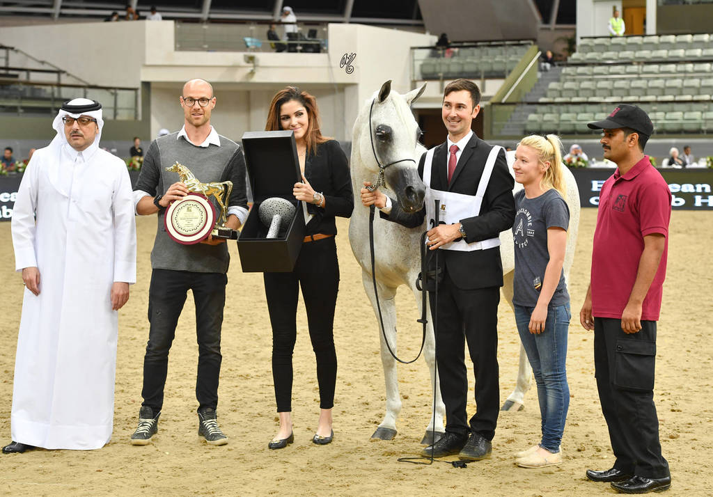 Senior Mare Gold Champion: Tehama Ballalina (Tehama NA Sidaqa X JJ Shai Majestic)