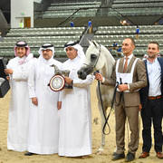 Senior Mare Silver Champion: Farida Al Nasser (Shagran Al Nasser X Marha Al Rayyan) 