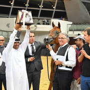 Senior Mare Bronze Champion: Farah Al Shaqab (Al Adeed Al Shaqab X SWF Valencia)