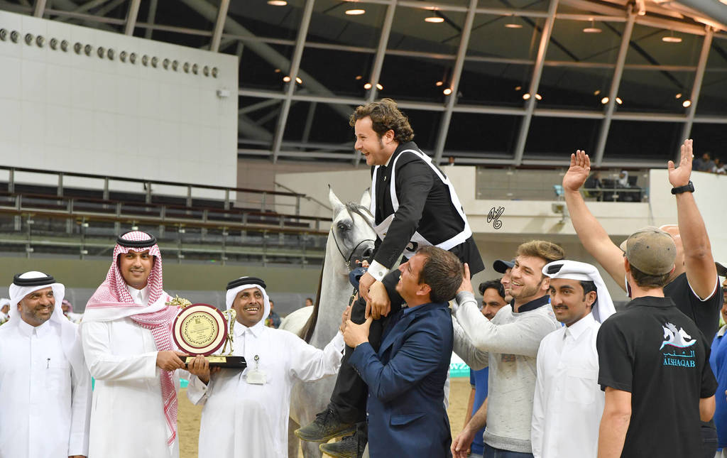 Colt Gold Champion: Medan Al Shaqab (Farhoud Al Shaqab X Abha Myra)