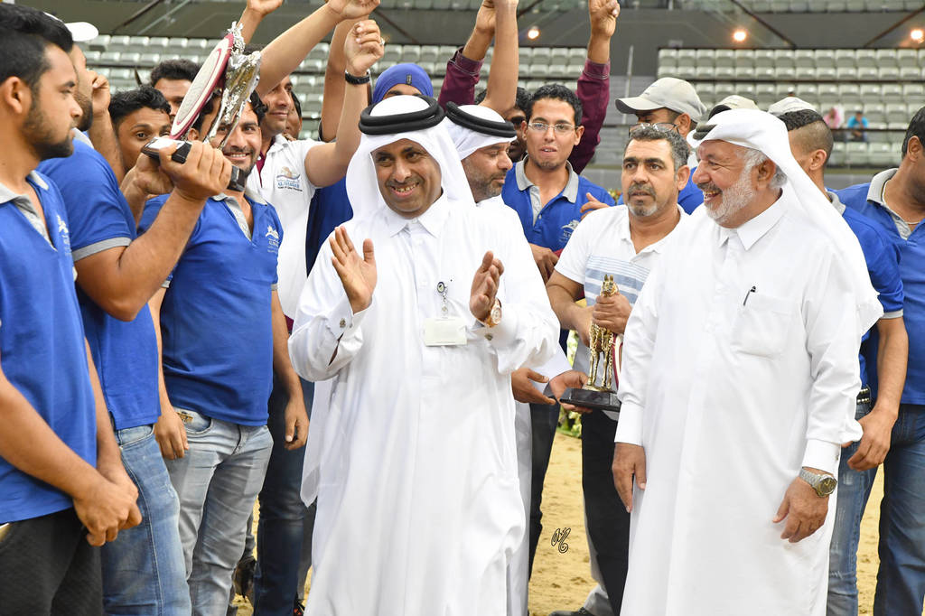 Colt: Gold and Silver Champions by Al Shaqab