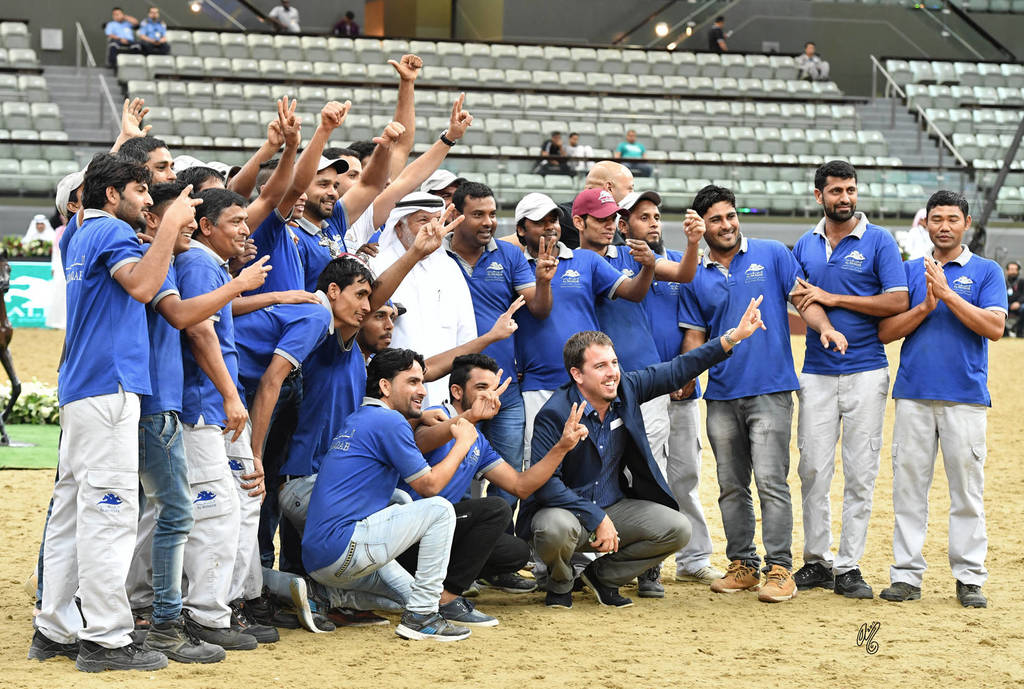 Colt: Gold and Silver Champions by Al Shaqab