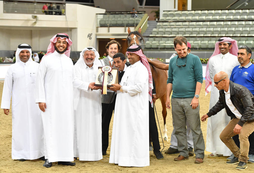 Filly Silver Champion: Madeeha Al Shaqab (Kahil Al Shaqab X QR Annah Ferrari)