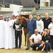 Yearling Colt Gold Champion: Hagras Al Shaqab (Fadi Al Shaqab X Wind Kamelia)