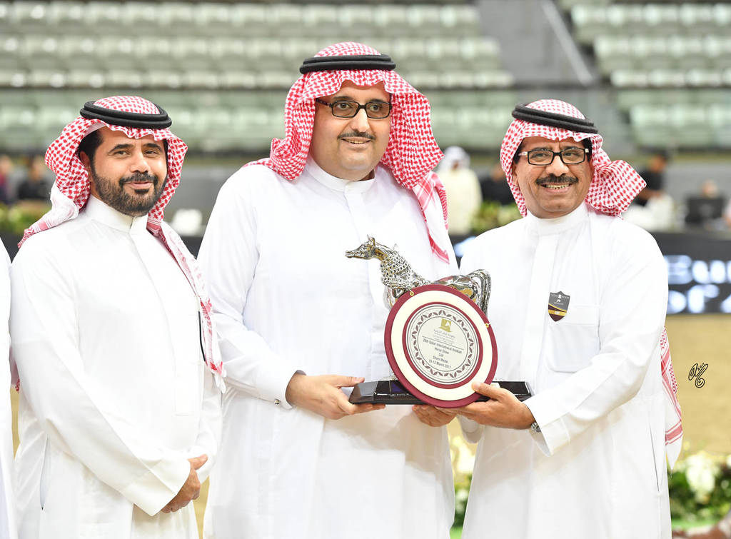 Yearling Colt Gold Champion: Hagras Al Shaqab (Fadi Al Shaqab X Wind Kamelia)