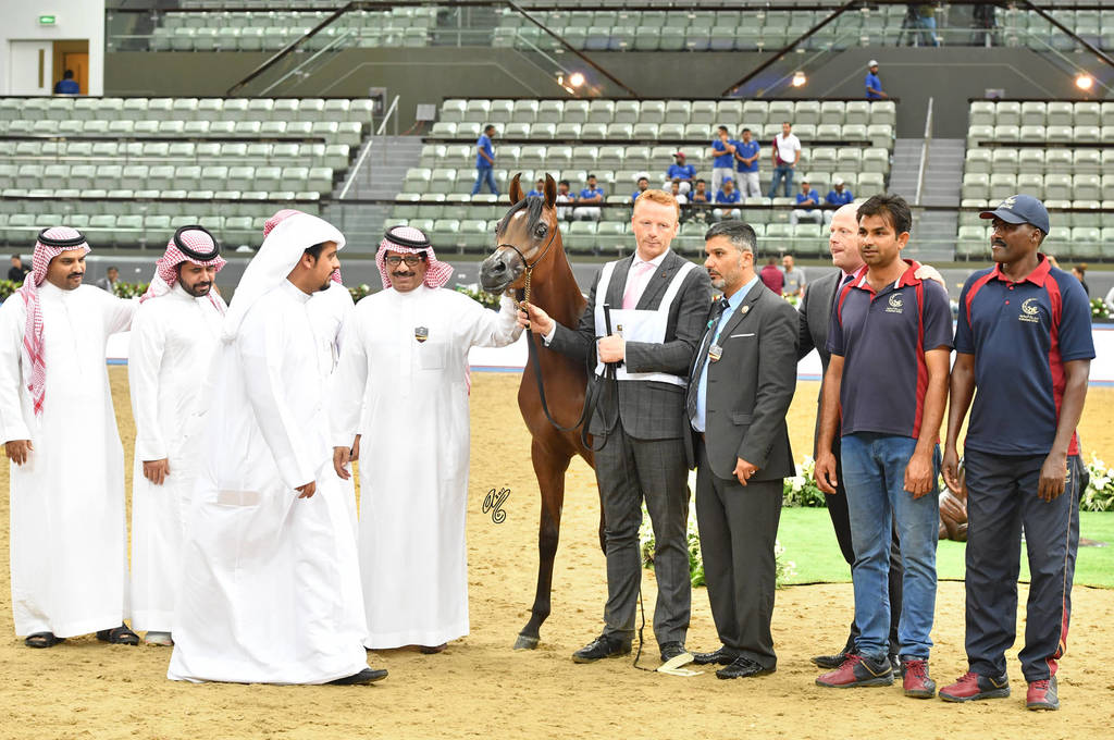 Yearling Colt Silver Champion: General (Emerald J X E.S. Mahbuba AE)