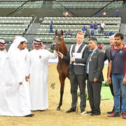 Yearling Colt Silver Champion: General (Emerald J X E.S. Mahbuba AE)
