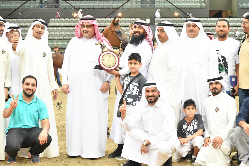 Yearling Colt Bronze Champion: Sawfan Nayaar (Fayad Alfayyad X Starlight By Sissi)