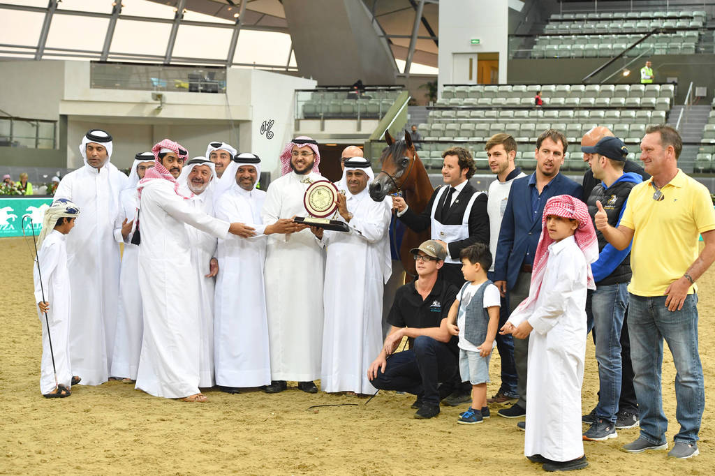 Yearling Filly Gold Champion: Hadba Al Shaqab (Marwan Al Shaqab X OFW Mishaahl) 