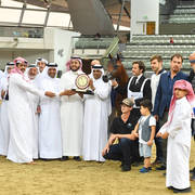 Yearling Filly Gold Champion: Hadba Al Shaqab (Marwan Al Shaqab X OFW Mishaahl) 