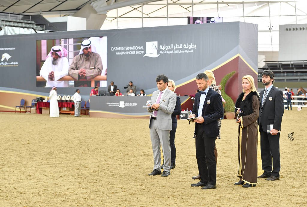 Lisa Abraham: The 2017 Qatar International Arabian Horse Show Gallery