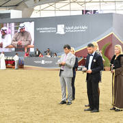 Lisa Abraham: The 2017 Qatar International Arabian Horse Show Gallery
