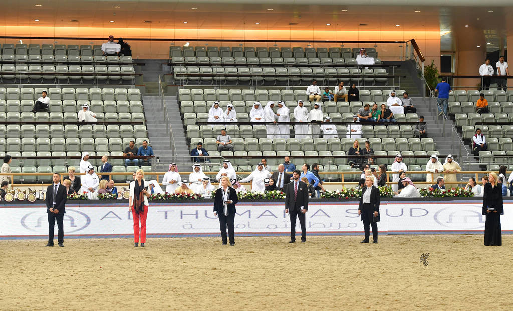 Lisa Abraham: The 2017 Qatar International Arabian Horse Show Gallery
