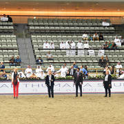 Lisa Abraham: The 2017 Qatar International Arabian Horse Show Gallery