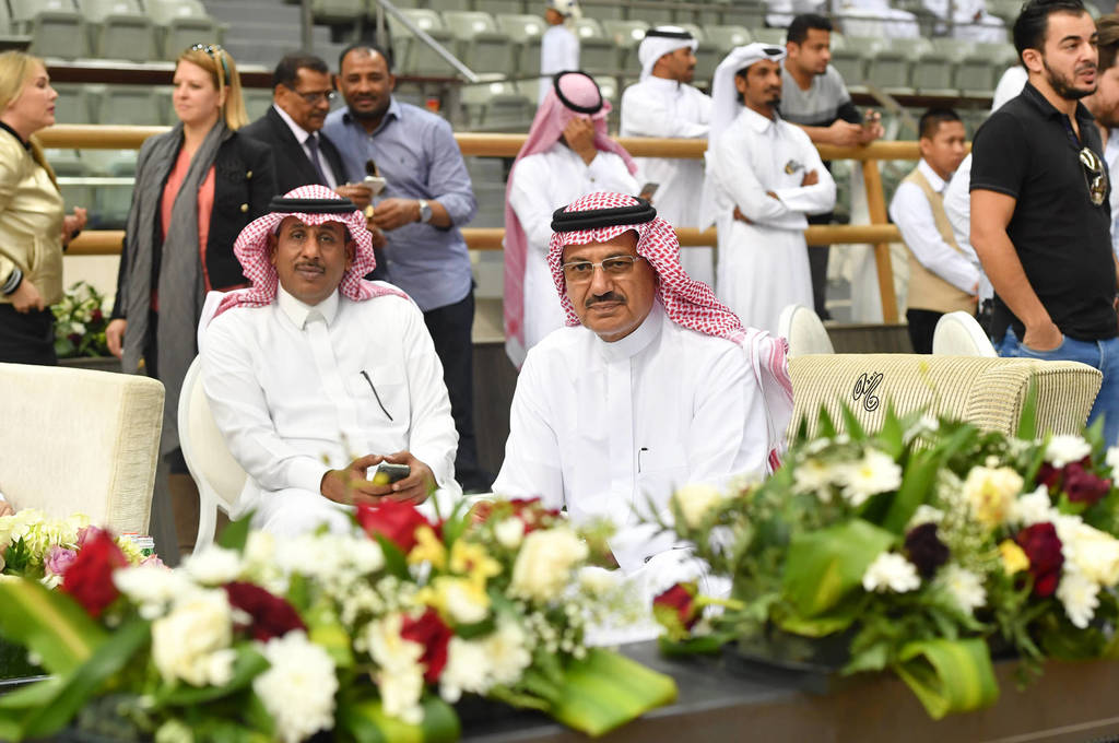 Lisa Abraham: The 2017 Qatar International Arabian Horse Show Gallery