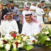 Lisa Abraham: The 2017 Qatar International Arabian Horse Show Gallery