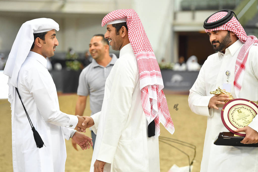 Lisa Abraham: The 2017 Qatar International Arabian Horse Show Gallery
