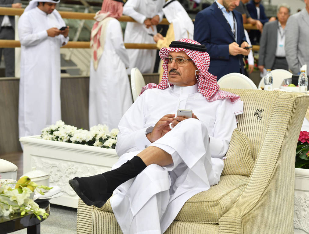 Lisa Abraham: The 2017 Qatar International Arabian Horse Show Gallery