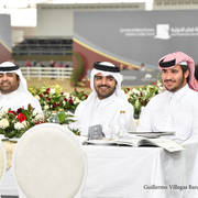 Lisa Abraham: The 2017 Qatar International Arabian Horse Show Gallery