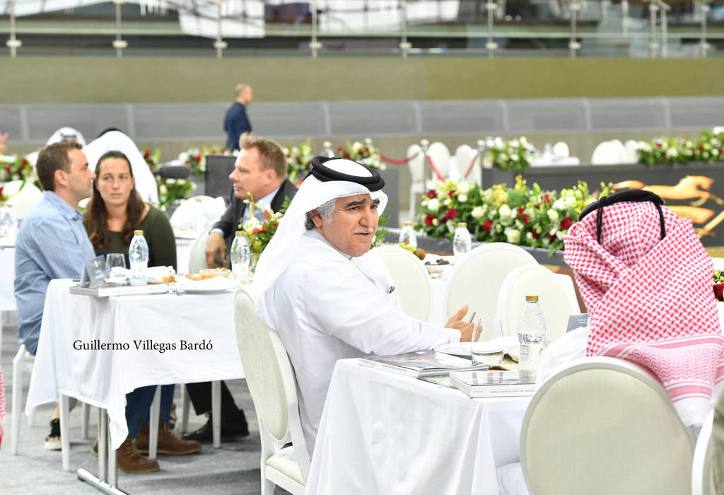 Lisa Abraham: The 2017 Qatar International Arabian Horse Show Gallery