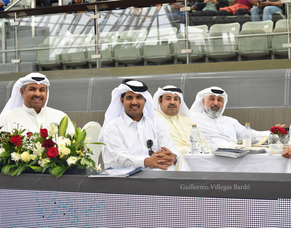 Lisa Abraham: The 2017 Qatar International Arabian Horse Show Gallery