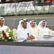 Lisa Abraham: The 2017 Qatar International Arabian Horse Show Gallery