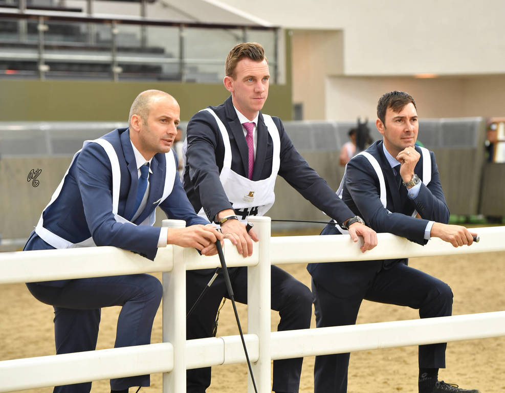 Lisa Abraham: The 2017 Qatar International Arabian Horse Show Gallery