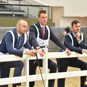 Lisa Abraham: The 2017 Qatar International Arabian Horse Show Gallery