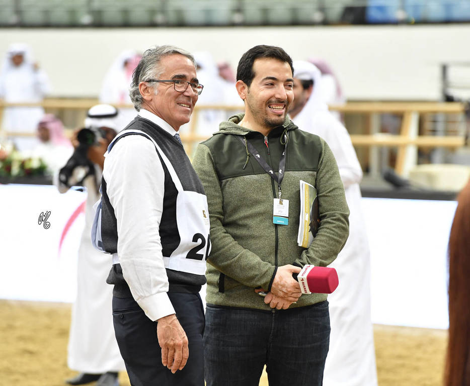 Lisa Abraham: The 2017 Qatar International Arabian Horse Show Gallery