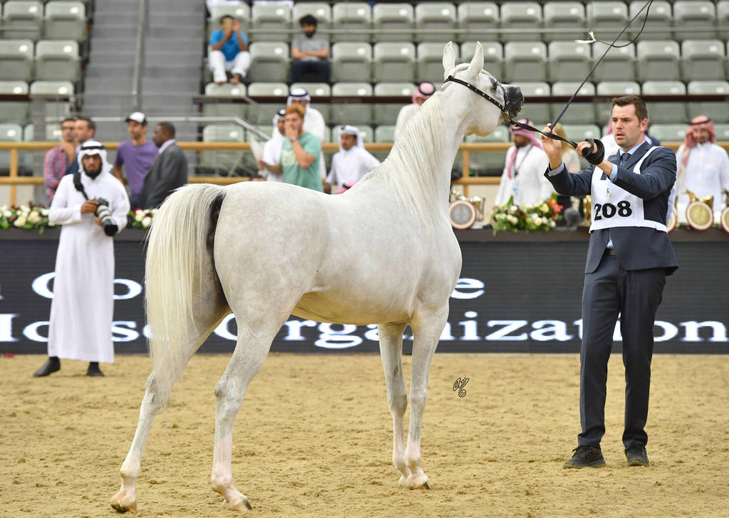 Mares 7 to 10: Cap Bianca