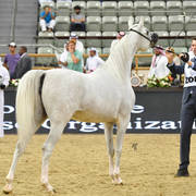 Mares 7 to 10: Cap Bianca