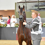 Colts 3 Years: Shaddad Al Muawd